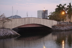 Tachycineta albilinea