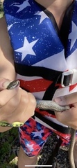 Thamnophis elegans vagrans