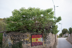 Broussonetia papyrifera