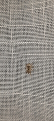 Menemerus semilimbatus