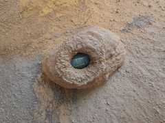 Eumeninae