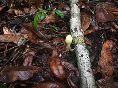 Image Associated With the Occurrence