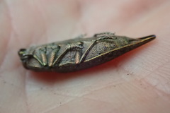 Dicercini