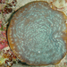 Coral Lechuga de Disco - Photo (c) FWC Fish and Wildlife Research Institute, algunos derechos reservados (CC BY-NC-ND)