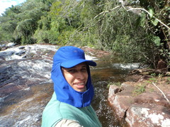 Staminodianthus racemosus
