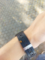 Hippodamia variegata