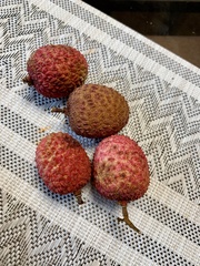 Litchi