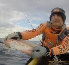 Nemipterus theodorei