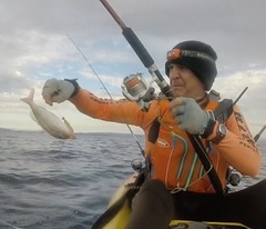 Nemipterus theodorei