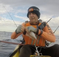 Nemipterus theodorei