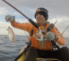 Nemipterus theodorei