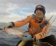 Nemipterus theodorei