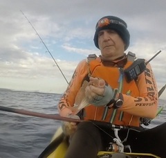 Nemipterus theodorei