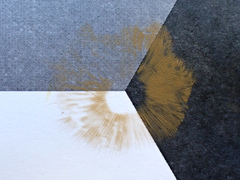 Kuehneromyces marginellus