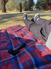 Rhipidura leucophrys