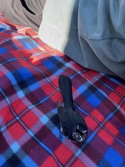 Rhipidura leucophrys