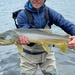 Brown Trout - Photo (c) Micah Lauer, some rights reserved (CC BY-NC), uploaded by Micah Lauer