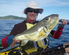 Lagocephalus inermis
