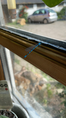 Enallagma cyathigerum