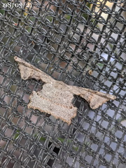 Cathetus euthysticha