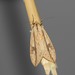 Leucanopsis oruba - Photo (c) Douglas Meyer, algunos derechos reservados (CC BY-NC), subido por Douglas Meyer
