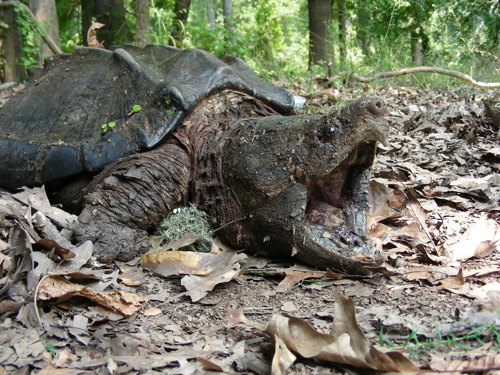 Photo by Eric Soehren