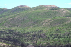 Anginon