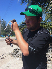 Cubophis cantherigerus