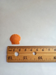 Flexopecten glaber ponticus