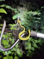 Craspedocephalus gramineus