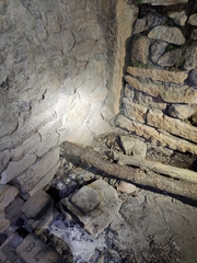 Cyrtodactylus srilekhae