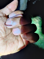 Indotyphlops braminus