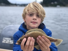 Citharichthys sordidus