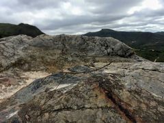 Otocraniella flagelloantennata