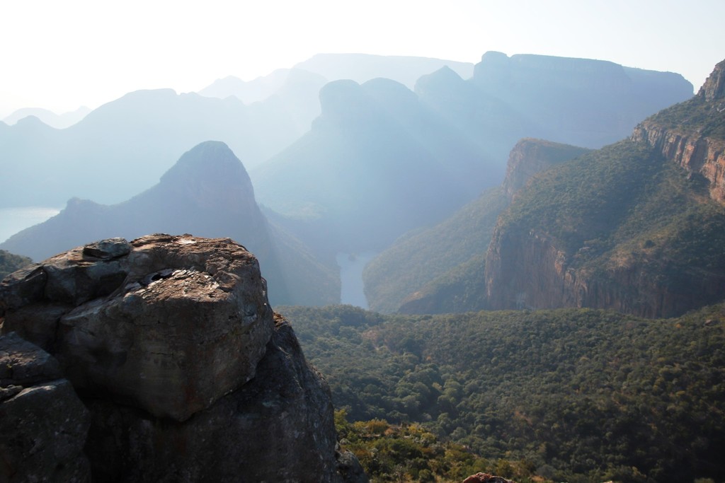 Mountain Kirkia