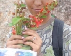 Anthopteropsis insignis