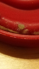 Botrytis