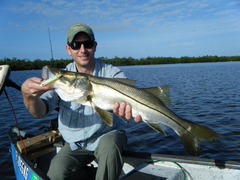 Centropomus undecimalis