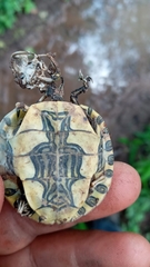 Trachemys grayi