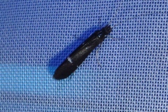 Athripsodes bilineatus