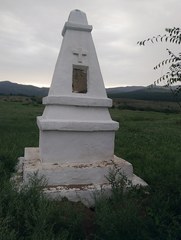 Marmota sibirica