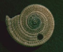 Caracol reloj de sol