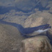 Japanese Eel - Photo (c) Tse Chung Yi, some rights reserved (CC BY-NC), uploaded by Tse Chung Yi