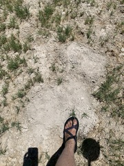 Thomomys bottae fumosus