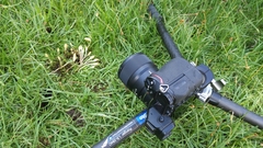 Leratiomyces cucullatus