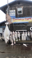 Hippoglossus stenolepis