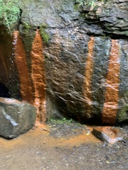 Gallionellaceae