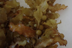 Sargassum acinarium