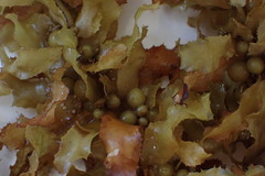 Sargassum acinarium