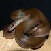 Brown House Snake - Photo (c) Vlada Trailin, some rights reserved (CC BY-NC), uploaded by Vlada Trailin